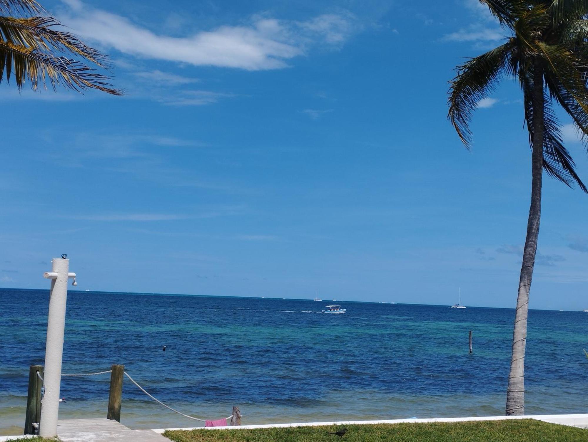 Cancun Ocean View Flamingo Plus Kültér fotó
